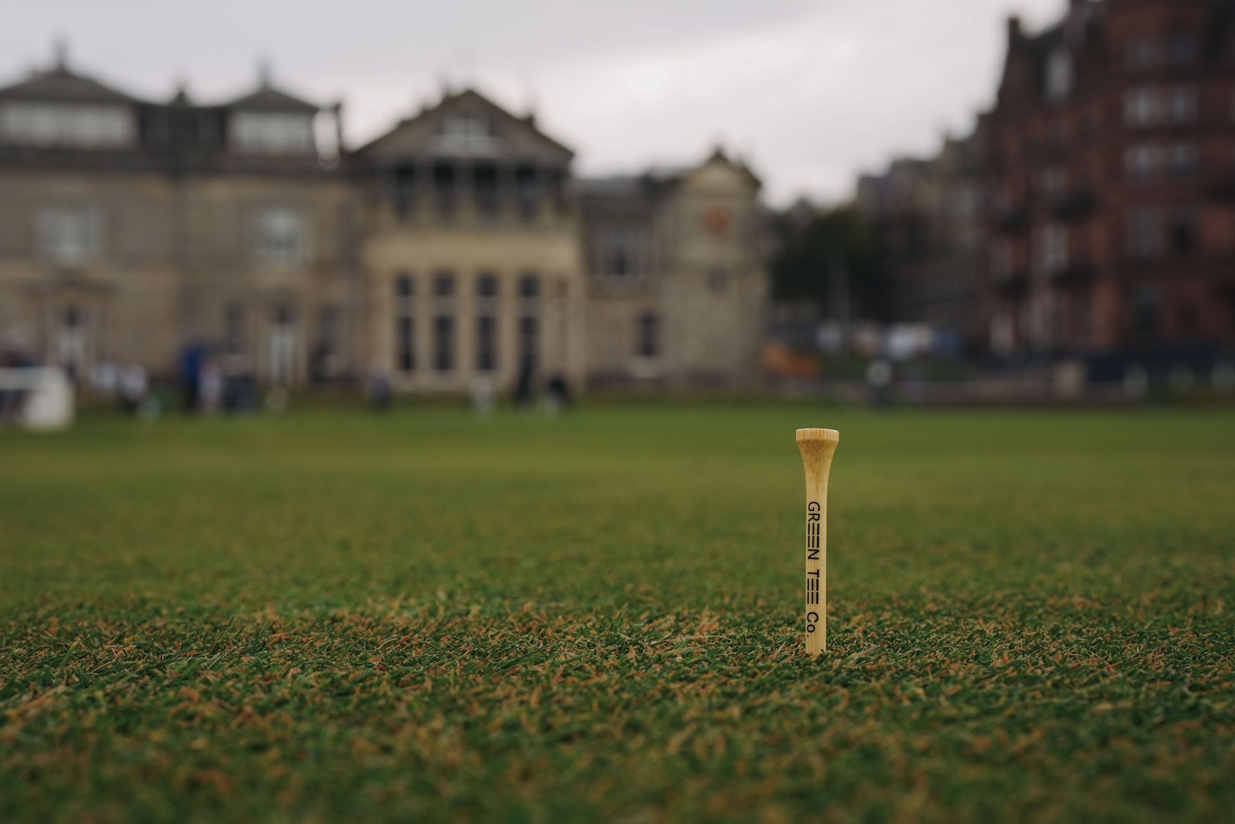 Two Green Tee Co bamboo tees in dewy grass